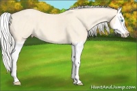 Horse Color:Cremello Splash Brindle