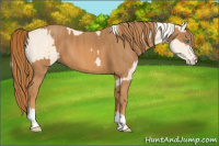 Horse Color:Cremello Splash  Brindle