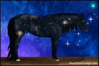 Horse Color:ERROR: UNKNOWN ANOMALY Brindle