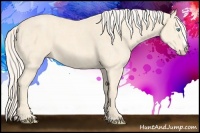 Horse Color:Cremello Splash  Brindle
