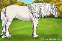 Horse Color:Cremello Splash  Brindle