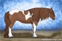 Horse Color:Chestnut Tobiano