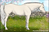 Horse Color:Cremello Splash  Brindle