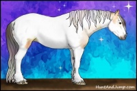 Horse Color:Gray Nacre Buckskin Splash Tobiano Frame Rabicano 