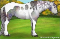 Horse Color:Gray Nacre Black Tobiano Rabicano