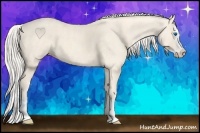 Horse Color:Cremello Splash  Brindle