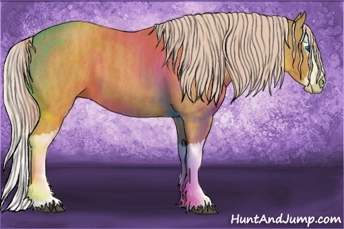 Horse Color: Palomino Splash  Brindle