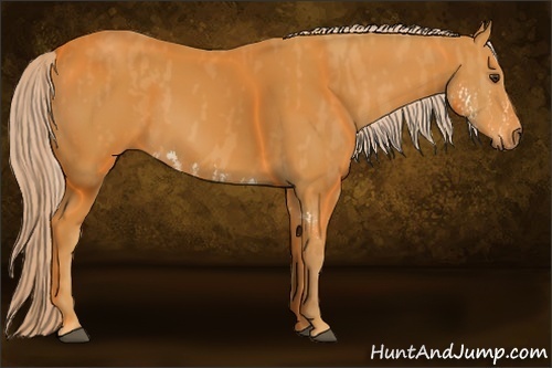 Horse Color: Palomino Splash  Brindle