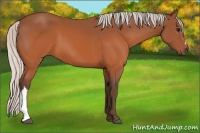 Horse Color:Silver Brown 