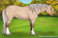 Horse Color:Silver Bay Roan Dun