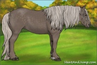 Horse Color:Silver Black 