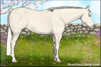 Horse Color:Cremello Splash Brindle
