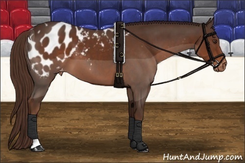 Horse Color: Liver Chestnut Blanket 