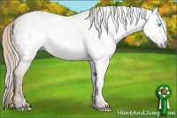 Horse Color:ERROR: UNKNOWN ANOMALY Brindle