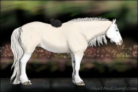 Horse Color:Cremello Splash  Brindle