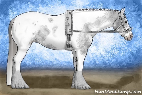 Horse Color: White Spotted Black Splash Tobiano Frame Blanket 