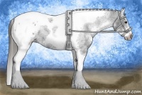 Horse Color:White Spotted Black Splash Tobiano Frame Blanket 