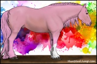 Horse Color:Watercolor Bay 
