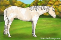 Horse Color:White Spotted Palomino Pearl 