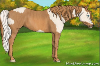 Horse Color:Cremello Splash  Brindle