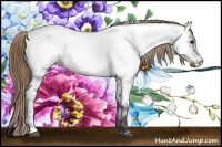 Horse Color:Buckskin Near Fewspot 