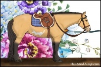 Horse Color:Buckskin Frame Rabicano