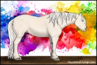 Horse Color:Cremello Splash  Brindle