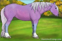 Horse Color:Watercolor Silver Buckskin 