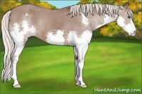 Horse Color:Silver Brown Splash Blanket 