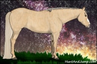 Horse Color:Palomino Dun Splash Frame Brindle