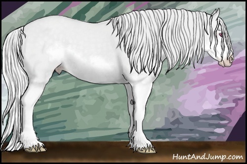 Horse Color: Silver Classic Champagne Chinchilla Dun Splash Frame 