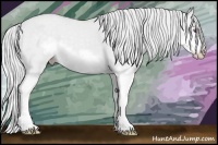 Horse Color:Silver Classic Champagne Chinchilla Dun Splash Frame
