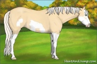 Horse Color:Silver Classic Cream Champagne Dun Splash Frame 