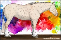 Horse Color:Silver Classic Champagne Dun Splash Frame 