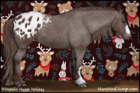 Horse Color:Liver Chestnut Appaloosa 