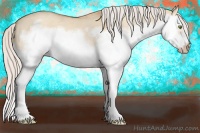 Horse Color:Silver Classic Champagne Dun Splash Frame 