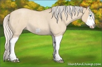 Horse Color:Silver Classic Champagne Roan Dun Splash Frame 