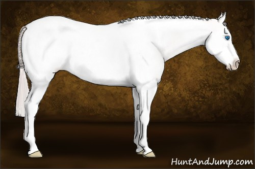 Horse Color: Perlino Splash Tobiano Frame 