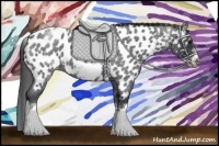 Horse Color:White Spotted Blue Roan Splash Frame Near Leopard 