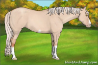 Horse Color:Silver Classic Champagne Dun Splash Frame 