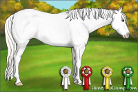 Horse Color:Palomino Roan Near Leopard Rabicano 