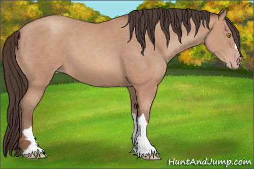 Horse Color: Amber Champagne 