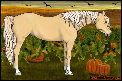 Horse Color: Palomino 