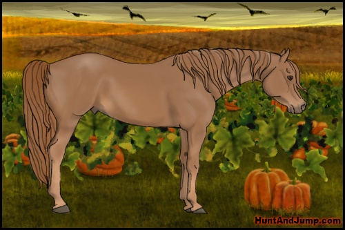 Horse Color: Chestnut 