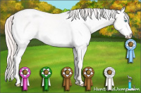 Horse Color:White Spotted Perlino 