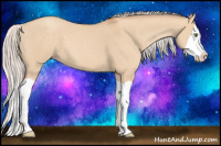 Horse Color:Silver Classic Champagne Dun Splash 