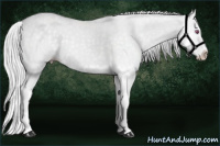 Horse Color:Silver Classic Champagne Chinchilla Dun Splash 