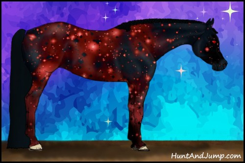 Horse Color: ERROR: UNKNOWN ANOMALY