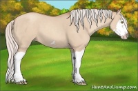 Horse Color:Silver Classic Champagne Dun Splash Frame 