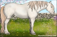 Horse Color:Amber Cream Champagne Pearl 